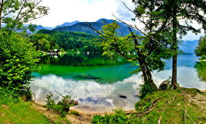 Bakgrunnsbilder Innsjø Slovenia Bohinj Natur