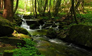 Fonds d'écran Chute d'eau Ruisseau Steinbachklamm Austria Nature
