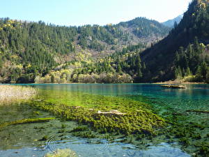 Papel de Parede Desktop Lago China Vale Jiuzhaigou Valley Panda Lake Naturaleza
