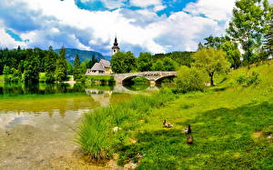 Картинки Озеро Словения Облако Bohinj Природа