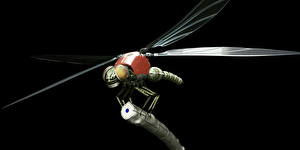 Bakgrundsbilder på skrivbordet Insekter Trollslända Teknik Fantasy Robot 3D grafik Fantasy