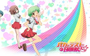 Desktop hintergrundbilder Baka to Test to Shoukanjuu Anime Mädchens