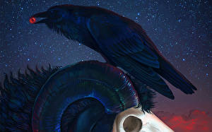 Fonds d'écran Gothique Fantasy Corvus corone Crâne Fantasy