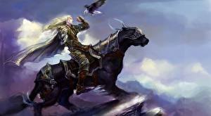Picture Warriors Magical animals Armour Fantasy