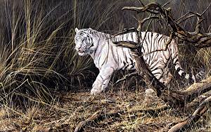 Фото Большие кошки Рисованные Тигры белый Животные