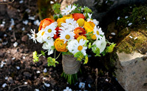 Фотография Букет Ромашки цветок