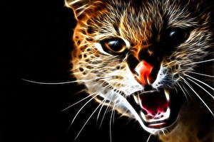 Wallpaper Cat Eyes Glance Roar Snout Teeth Nose 3D Graphics Animals