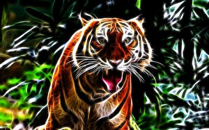 Картинка Тигр Большие кошки Злость Взгляд Морда 3D Графика Животные