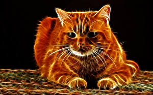 Papel de Parede Desktop Gatos Vibrissa Ver Focinho 3D Gráfica Animalia