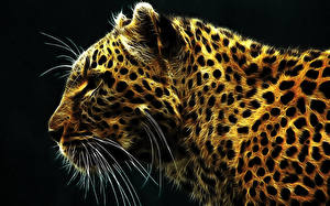 Обои Леопард Большие кошки Усы Вибриссы 3D Графика Животные