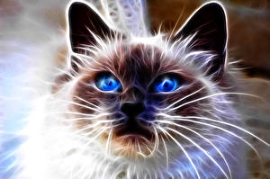 Papel de Parede Desktop Gato Olhos Vibrissa Ver Focinho 3D Gráfica Animalia