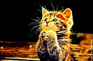 Tapety na pulpit Kot domowy Kotki Wibrysy Wzrok Łapy Grafika 3D Zwierzęta