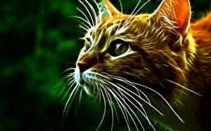 Papel de Parede Desktop Gatos Olhos Vibrissa Ver Focinho 3D Gráfica Animalia