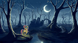 Papel de Parede Desktop My Little Pony Góticas Luna crescente Lua árvores Cartoons