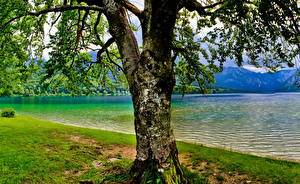 Papel de Parede Desktop Lago Eslovénia Bohinj Naturaleza