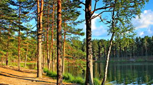 Fonds d'écran Forêts Lac Russie  Nature