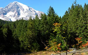 Bureaubladachtergronden Park Bergen Amerika Mount Rainier National Park Natuur