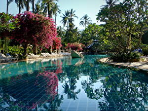 Bakgrunnsbilder Resort Thailand Svømmebasseng Phuket  en by