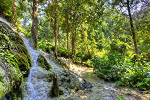 Images Waterfalls Forests Creeks Steinbachklamm Austria Nature