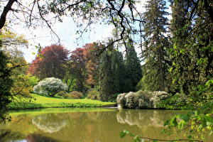 Papel de Parede Desktop Parques Lago República Checa Pruhonice Naturaleza