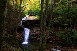 Fotos Wasserfall Bach Natur