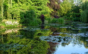 Bureaubladachtergronden Tuin Vijver Claude Monet garden Paris France Natuur