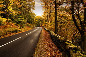 Wallpapers Seasons Autumn Roads Asphalt Nature