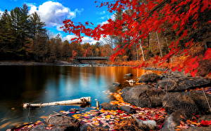 Images Seasons Autumn Rivers Nature
