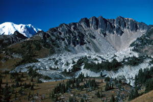 Hintergrundbilder Parks Gebirge Vereinigte Staaten Mount-Rainier Park Washington Natur