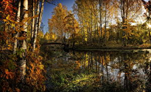 Photo Seasons Autumn Lake Nature