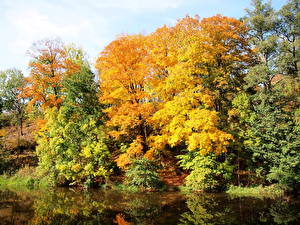 Pictures Seasons Autumn River  Nature