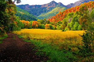 Bilder Jahreszeiten Herbst Wald Natur