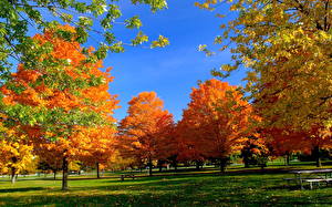 Hintergrundbilder Jahreszeiten Herbst Parks Natur
