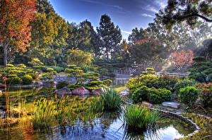 Bureaubladachtergronden Tuinen Vijver Earl Burns Miller Japanese Garden California USA Natuur
