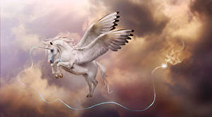 Bakgrunnsbilder Magiske dyr Enhjørninger Pegasus Fantasy