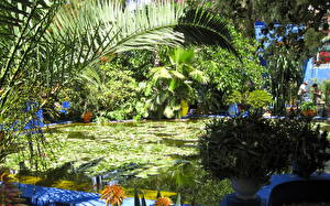 Bureaubladachtergronden Tuin Vijver Morocco Marrakech Jardin Majorelle Natuur