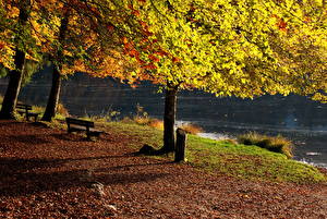 Картинки Времена года Осень Скамейка Франция Бонльё Природа