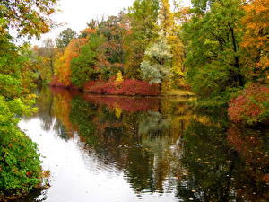 Picture Seasons Autumn Lake Nature