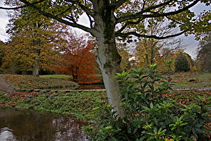 Hintergrundbilder Jahreszeiten Herbst England  Natur