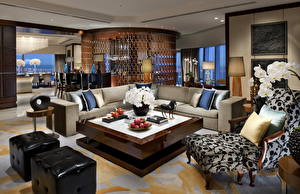 Picture Interior Lounge sitting room Room Sofa Design