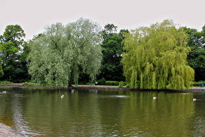 Bakgrundsbilder på skrivbordet Park Insjö Storbritannien Ropner Park Stockton On Tees  Natur