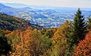 Hintergrundbilder Jahreszeiten Herbst Polen  Natur