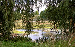 Fotos Fluss Lettland  Natur
