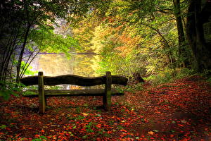 桌面壁纸，，季节，秋季，长凳，，大自然