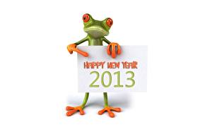 Pictures Frog 2013 3D Graphics