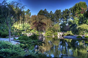 Bureaubladachtergronden Tuin Vijver Verenigde staten Californië Earl Burns Miller Japanese Garden Natuur