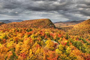 Papel de Parede Desktop Estação do ano Outono Floresta Vermont Naturaleza