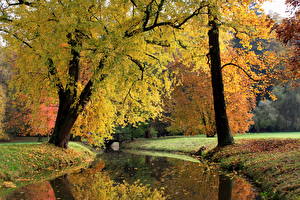 Hintergrundbilder Jahreszeiten Herbst Fluss Tschechische Republik Pruhonice Natur