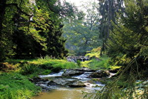 Bilder Fluss Tschechische Republik Pruhonice Natur