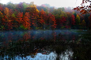 Image Seasons Autumn Lake USA Virginia Nature